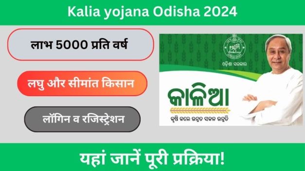 Kalia yojana