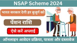 NSAP Scheme