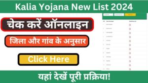 Kalia Yojana New List